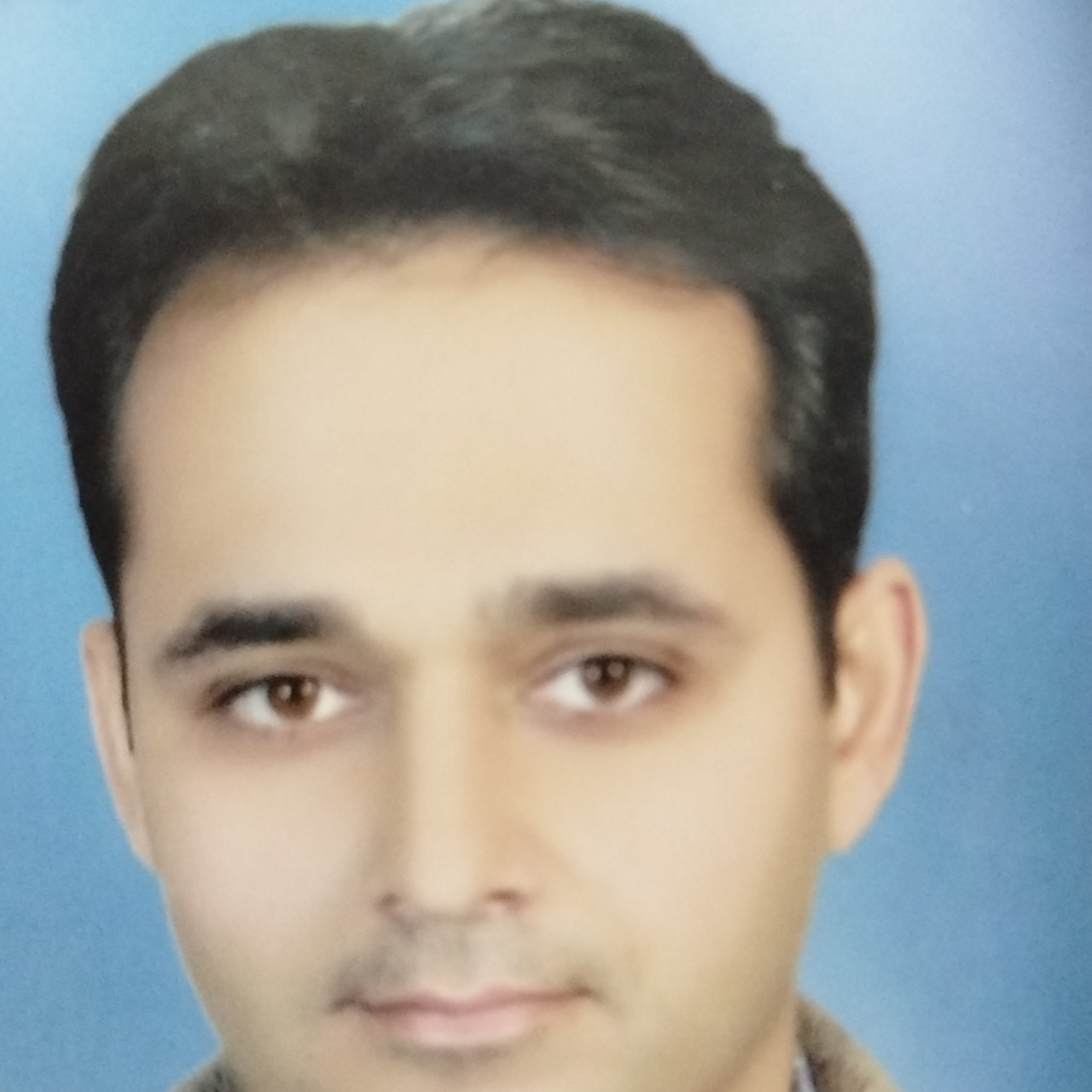 Profile Picture